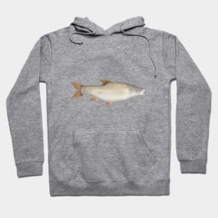 True big-scale tetra Hoodie